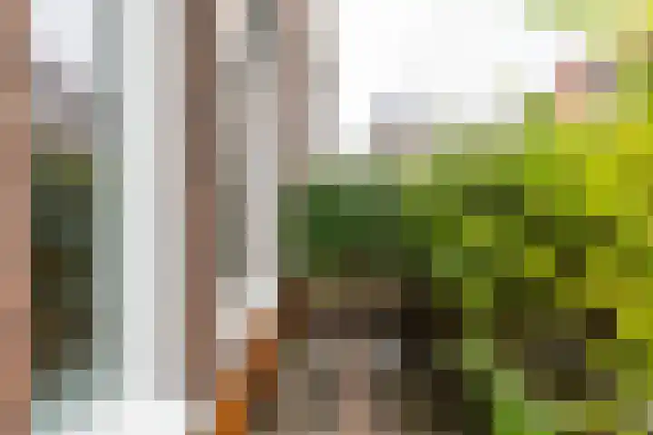 Herman Colleniusstraat 30 Groningen thumbnail 44