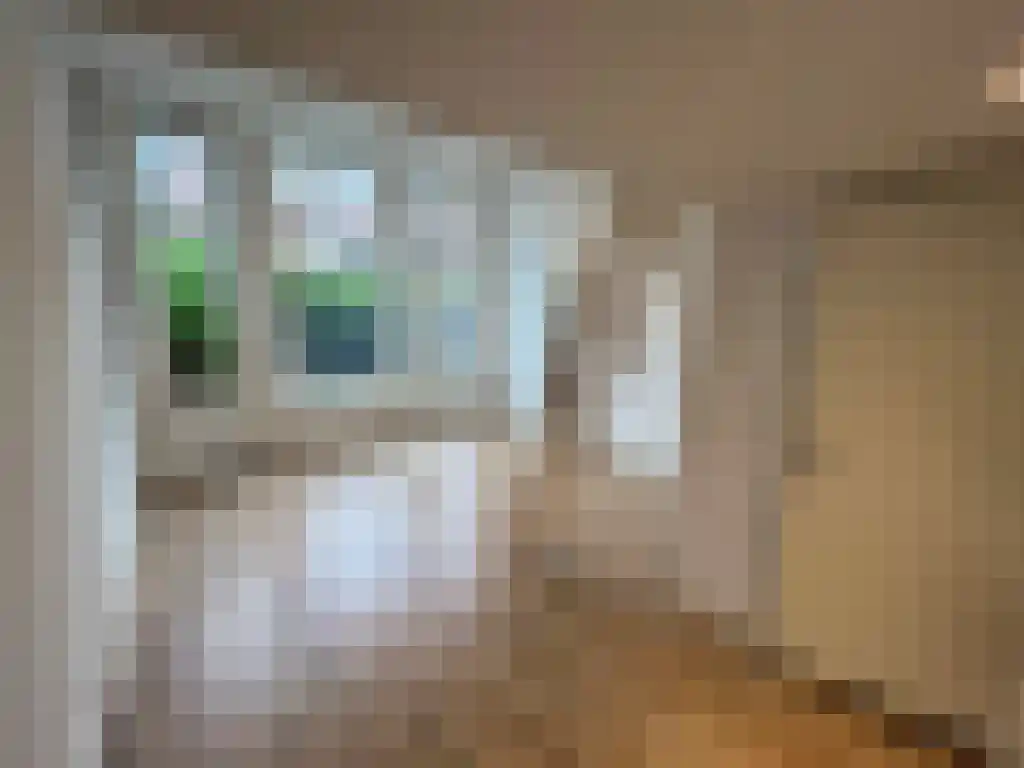 Herman Colleniusstraat 38 Groningen thumbnail 4