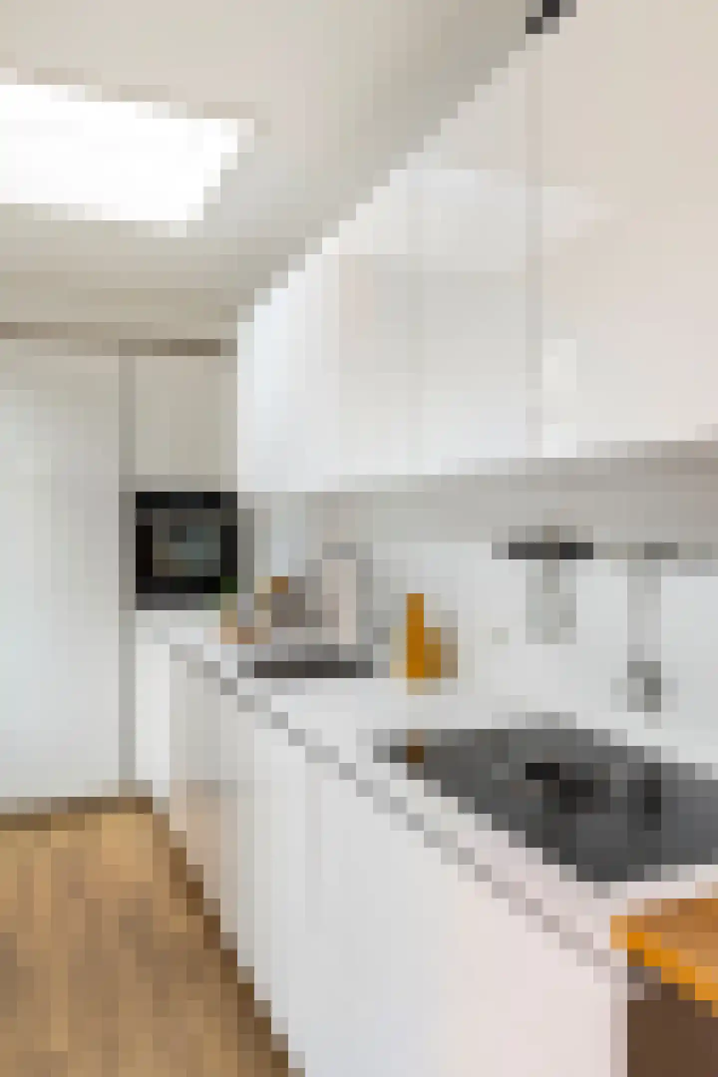 Herman Colleniusstraat 44 Groningen thumbnail 21