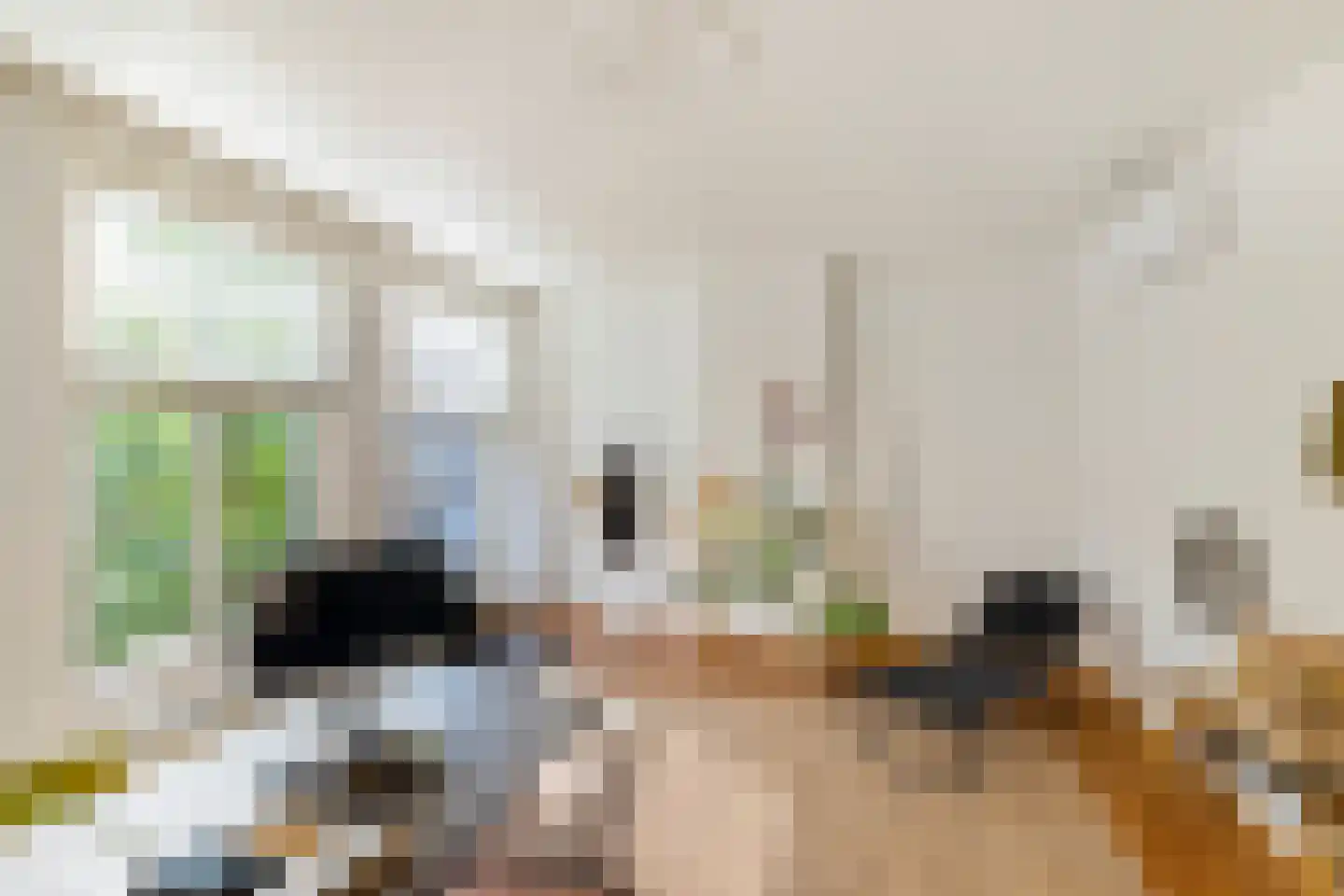 Herman Colleniusstraat 44 Groningen thumbnail 31