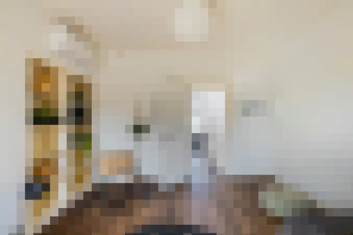 Herman Colleniusstraat 44 Groningen thumbnail 43