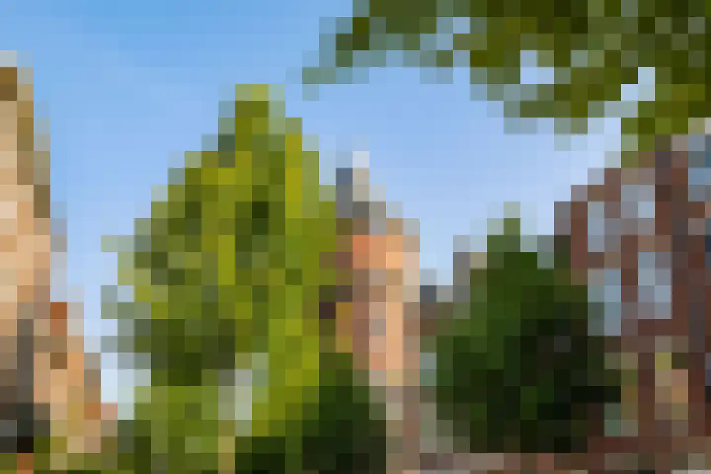 Herman Colleniusstraat 44 Groningen thumbnail 45