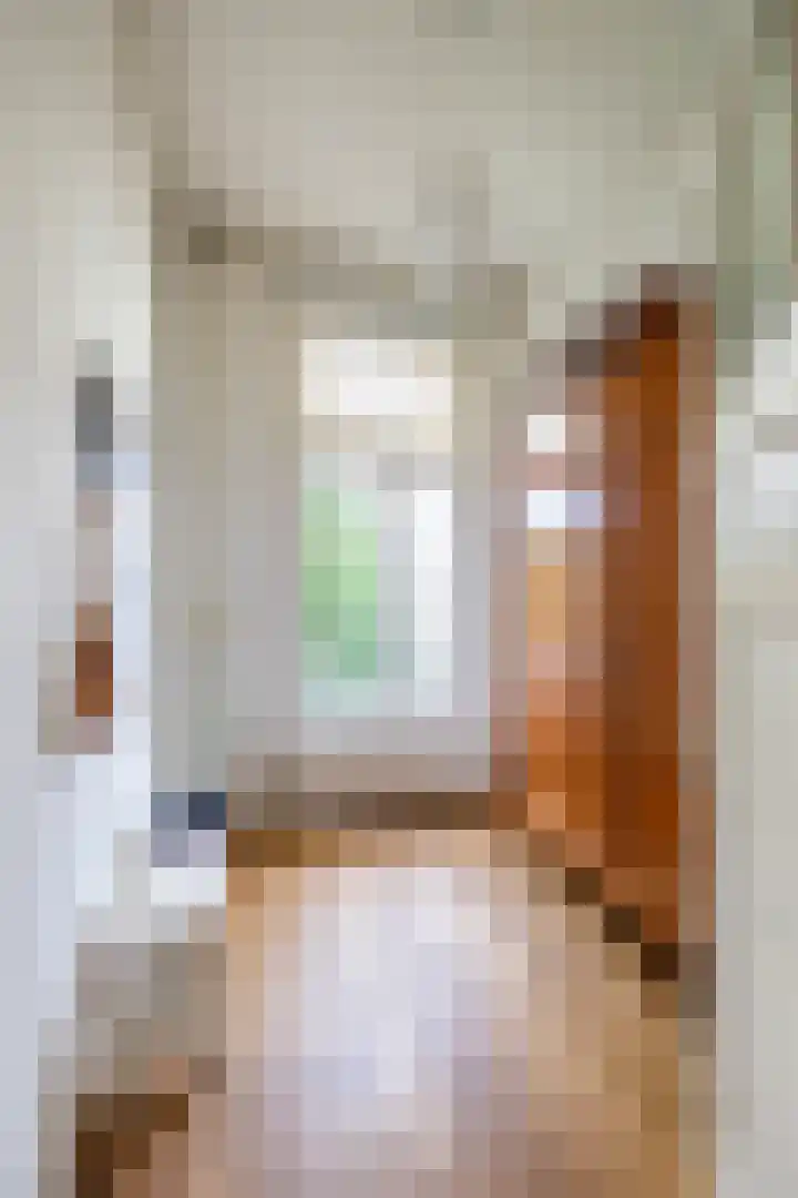Herman Colleniusstraat 5 a Groningen thumbnail 36