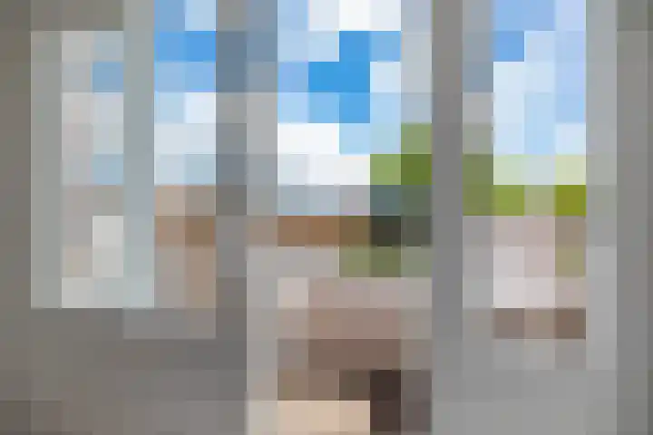 Herman Colleniusstraat 5 a Groningen thumbnail 49