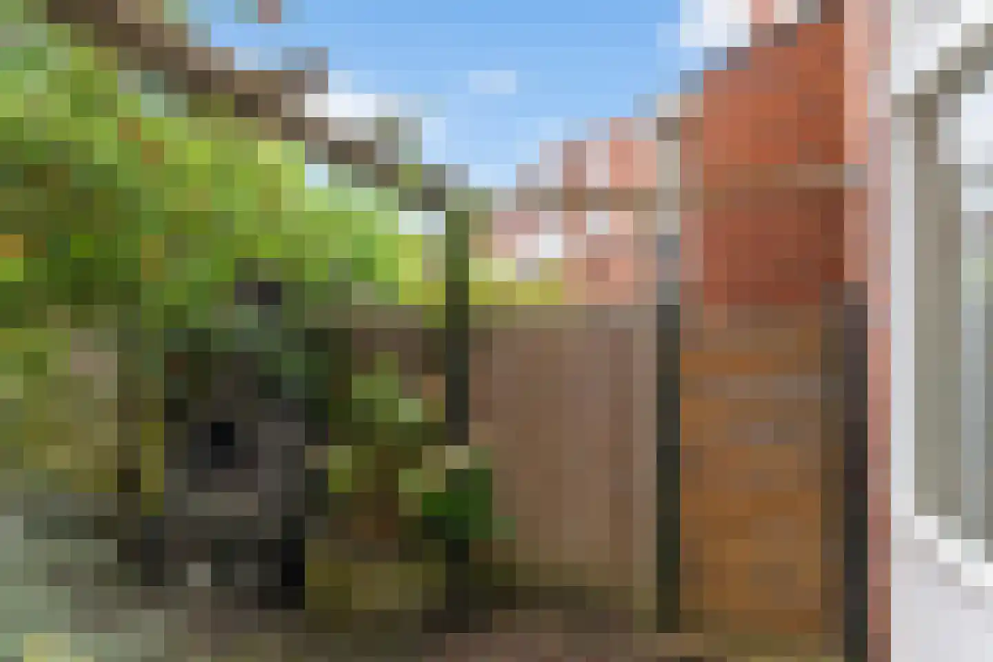 Herman Colleniusstraat 5 Groningen thumbnail 26