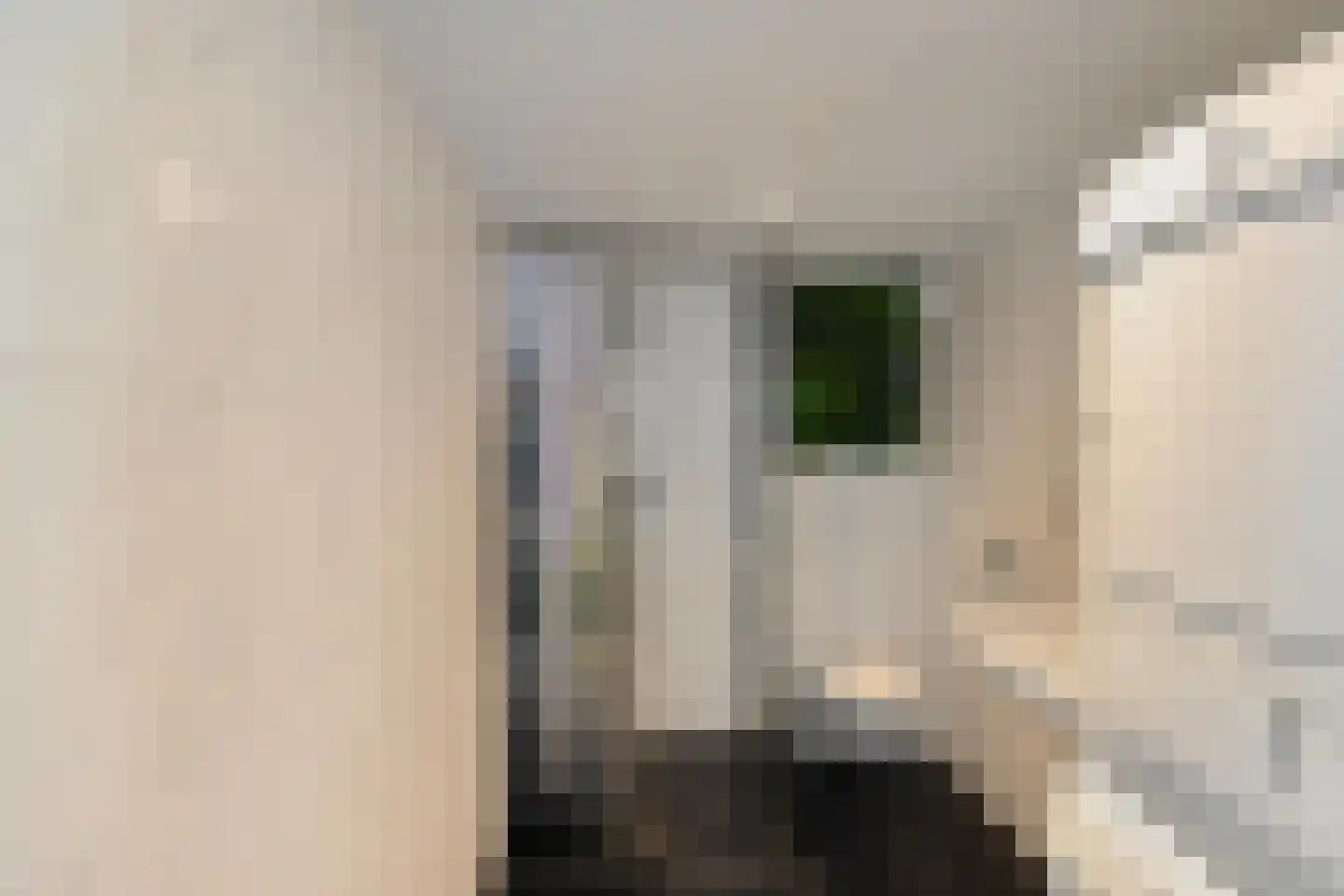 Herman Colleniusstraat 5 Groningen thumbnail 48