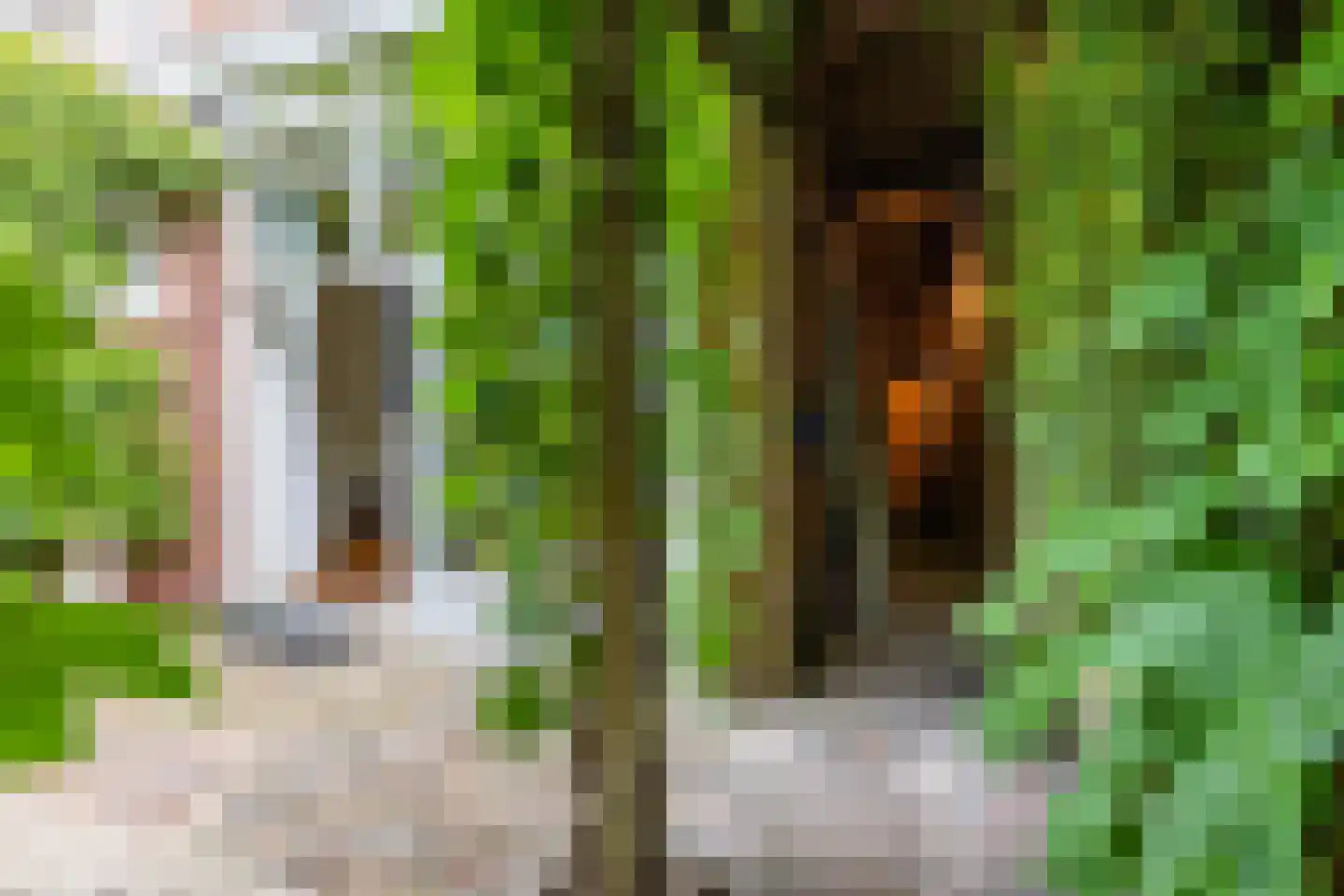 Herman Colleniusstraat 64 Groningen thumbnail 22