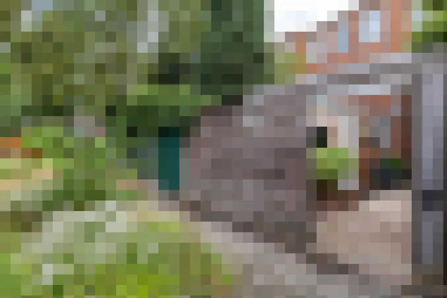 Herman Colleniusstraat 64 Groningen thumbnail 24