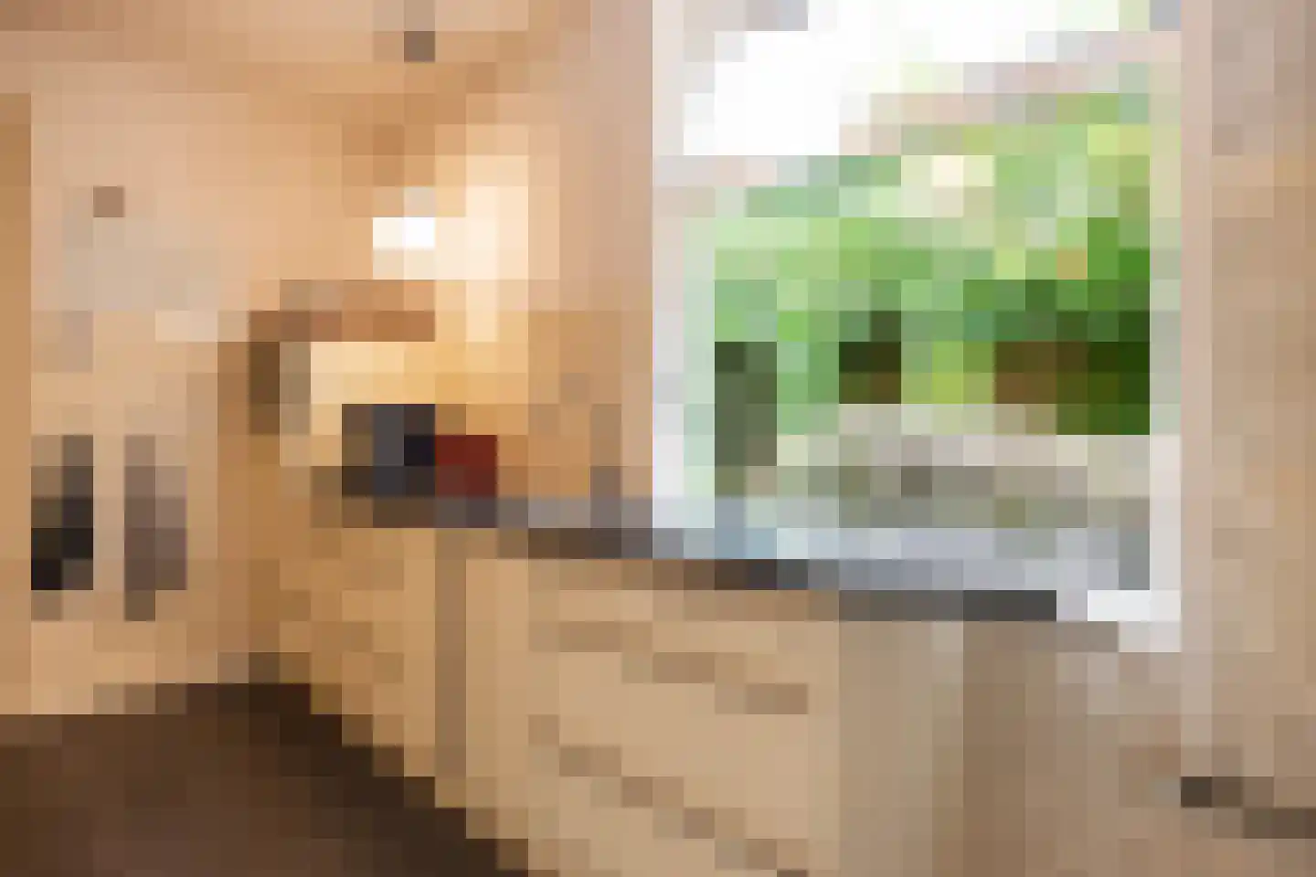 Herman Colleniusstraat 64 Groningen thumbnail 26