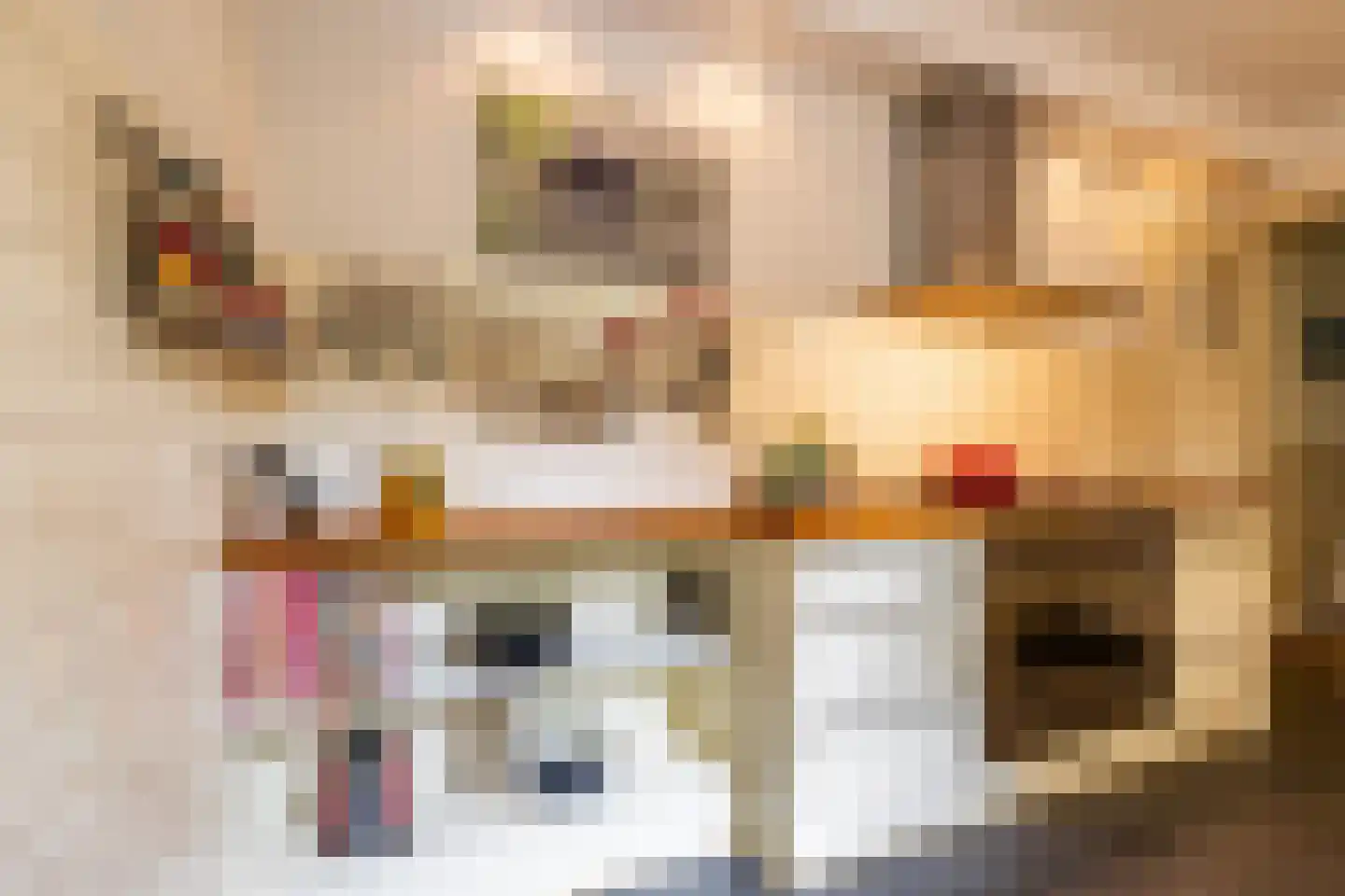 Herman Colleniusstraat 64 Groningen thumbnail 27