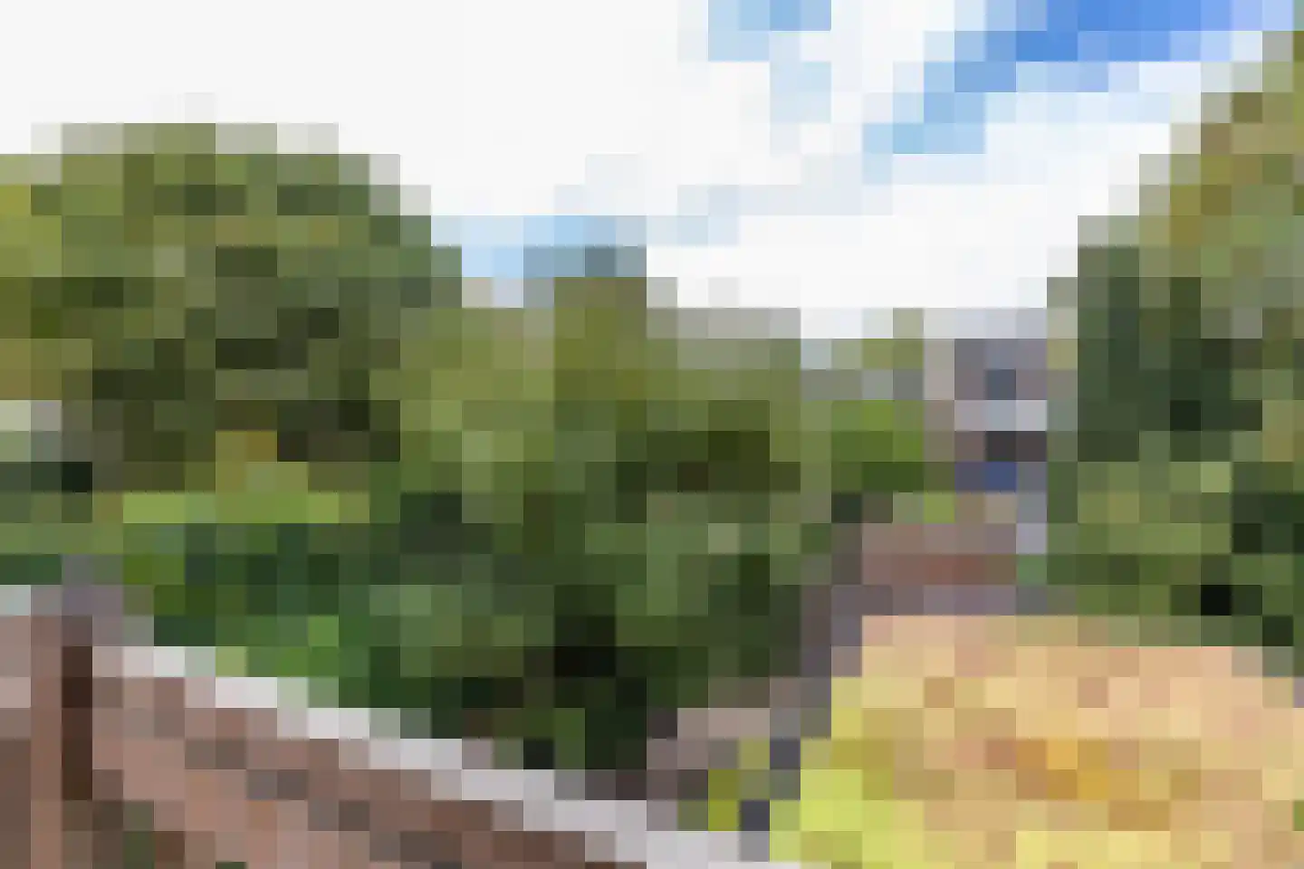 Herman Colleniusstraat 64 Groningen thumbnail 38