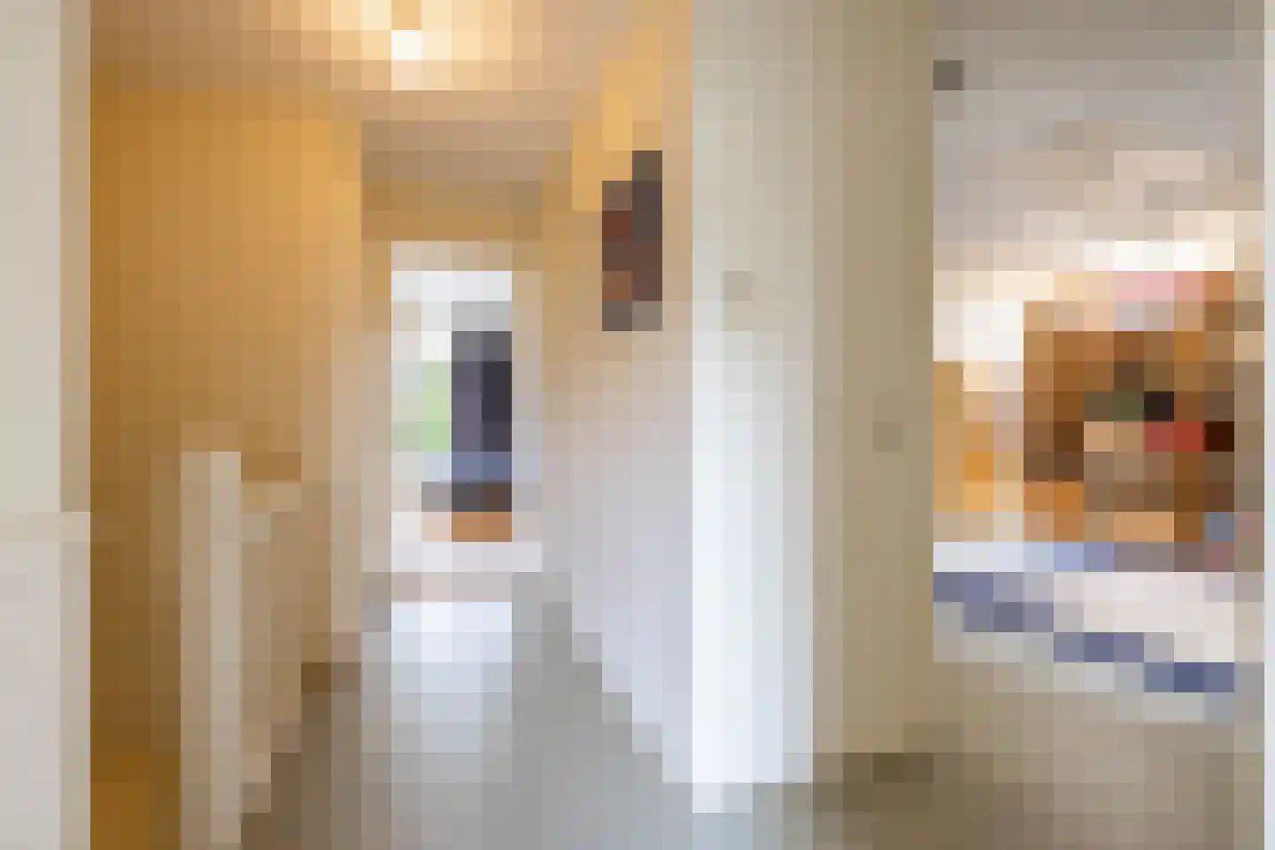 Herman Colleniusstraat 64 Groningen thumbnail 39