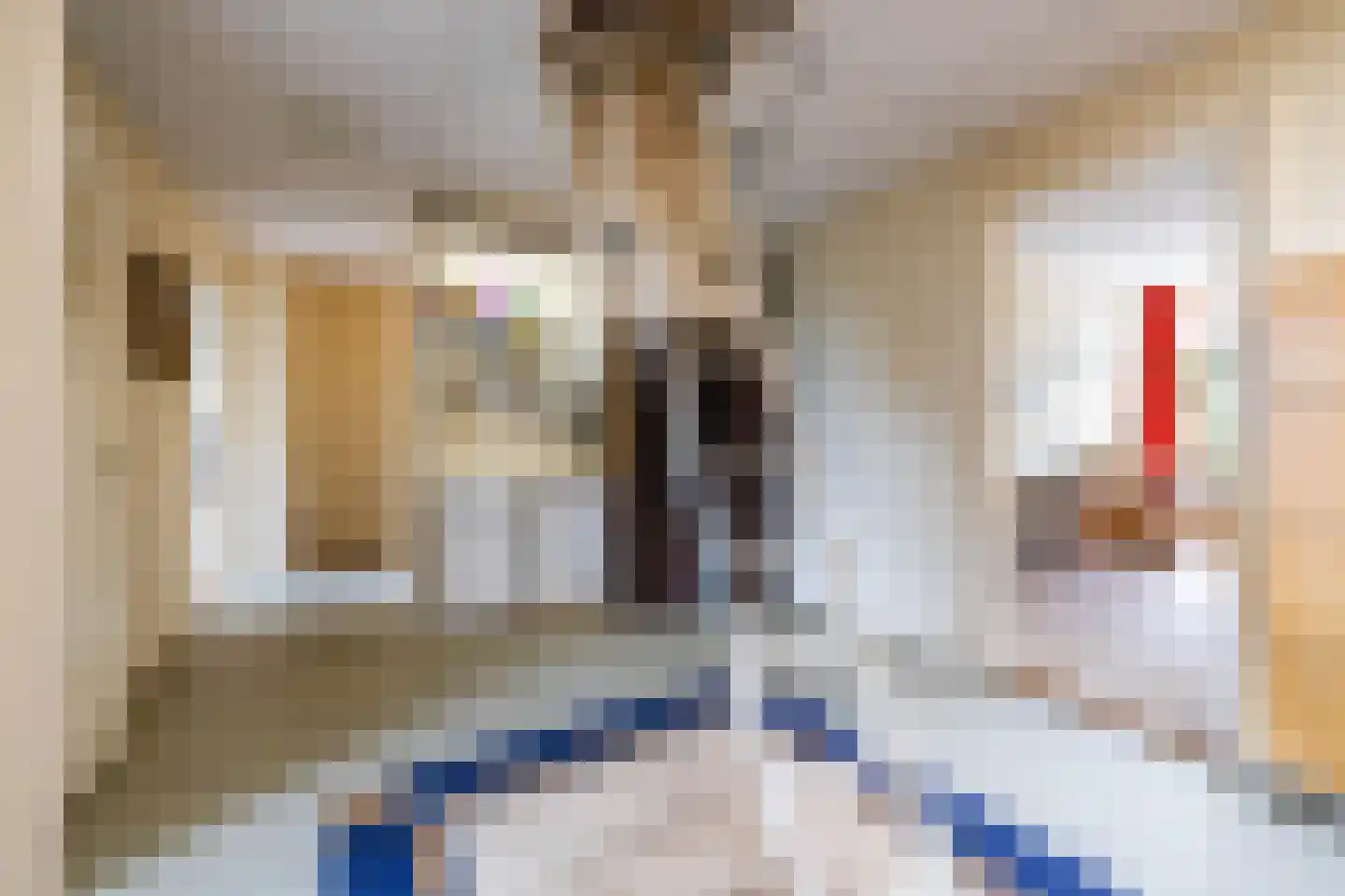 Herman Colleniusstraat 64 Groningen thumbnail 50
