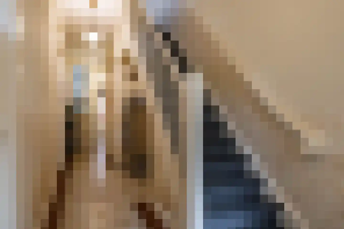 Herman Colleniusstraat 64 Groningen thumbnail 9