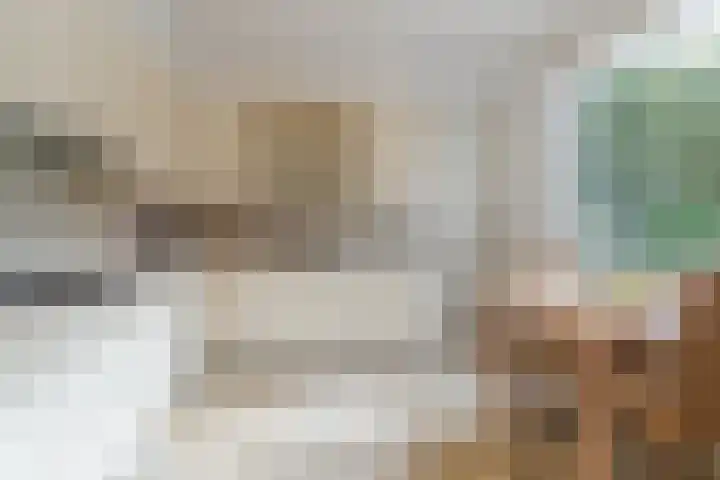 Herman de Manhof 1 Tilburg thumbnail 12