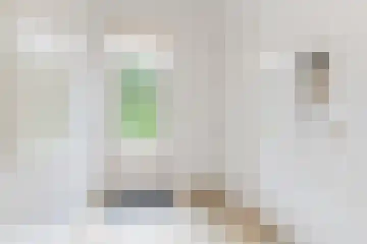 Herman de Manhof 1 Tilburg thumbnail 16