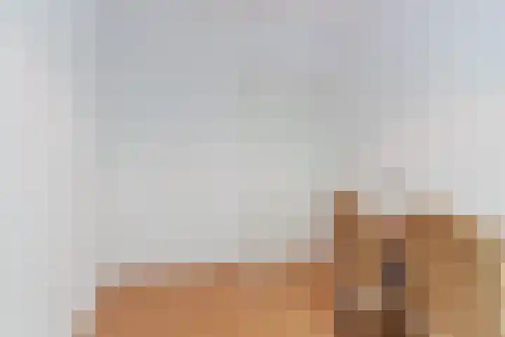 Herman de Manhof 1 Tilburg thumbnail 28