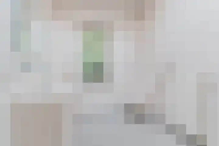 Herman de Manhof 1 Tilburg thumbnail 29