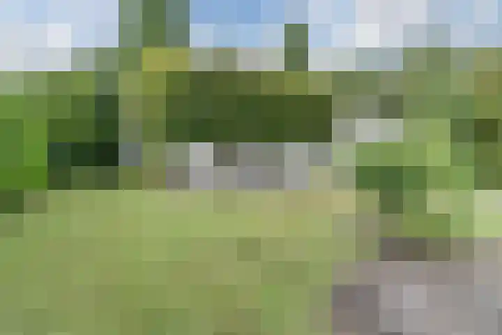 Herman de Manhof 1 Tilburg thumbnail 34