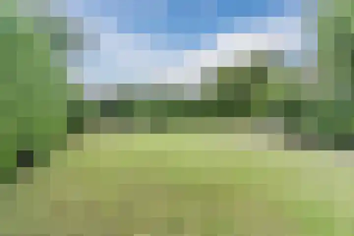 Herman de Manhof 1 Tilburg thumbnail 37