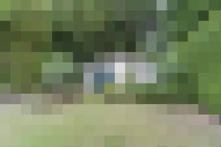 Herman de Manhof 1 Tilburg thumbnail 38