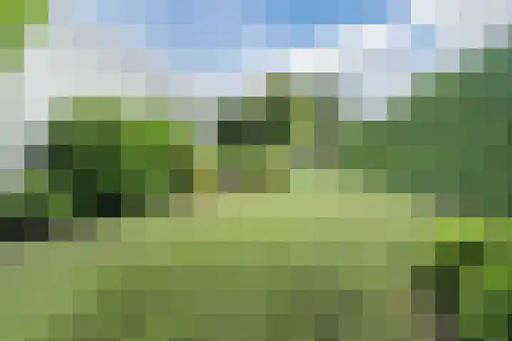 Herman de Manhof 1 Tilburg thumbnail 40