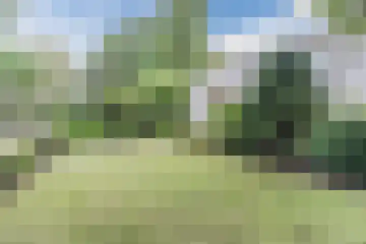 Herman de Manhof 1 Tilburg thumbnail 41