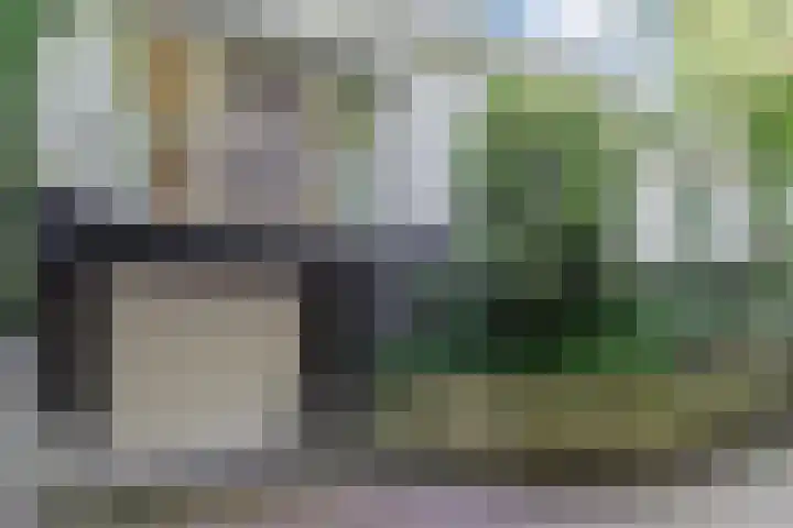 Herman de Manhof 1 Tilburg thumbnail 42