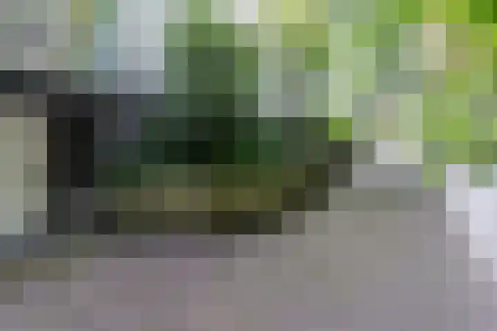 Herman de Manhof 1 Tilburg thumbnail 43