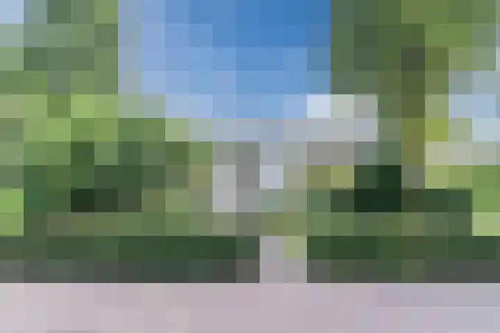 Herman de Manhof 1 Tilburg thumbnail 45