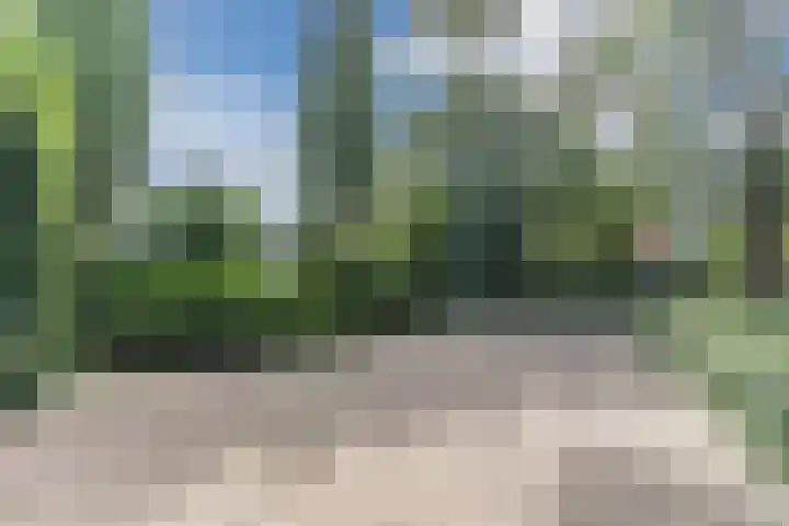 Herman de Manhof 1 Tilburg thumbnail 46