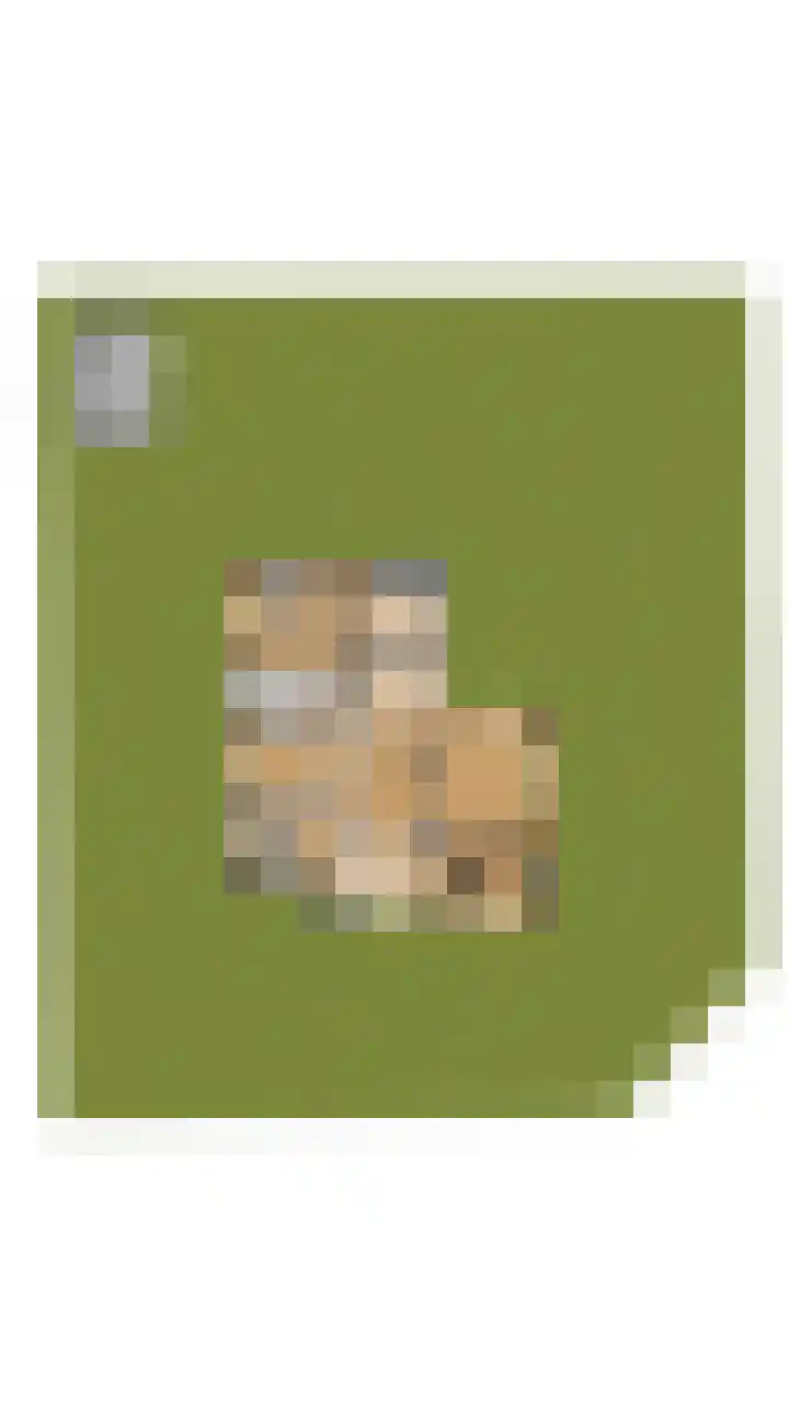 Herman de Manhof 1 Tilburg thumbnail 47