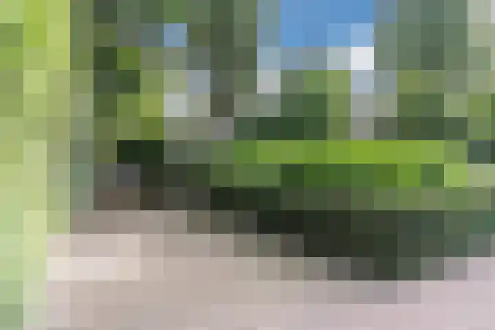 Herman de Manhof 1 Tilburg thumbnail 50