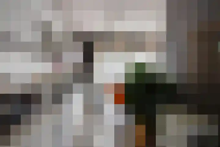Herman de Manhove 56 Nieuwegein thumbnail 11
