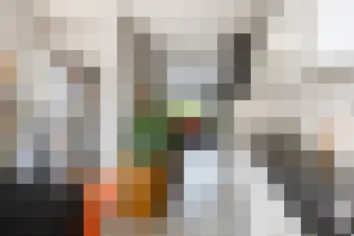 Herman de Manhove 56 Nieuwegein thumbnail 12