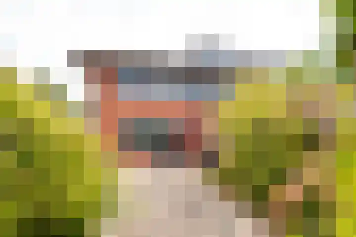 Herman de Manhove 56 Nieuwegein thumbnail 25