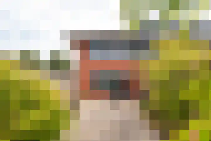 Herman de Manhove 56 Nieuwegein thumbnail 26