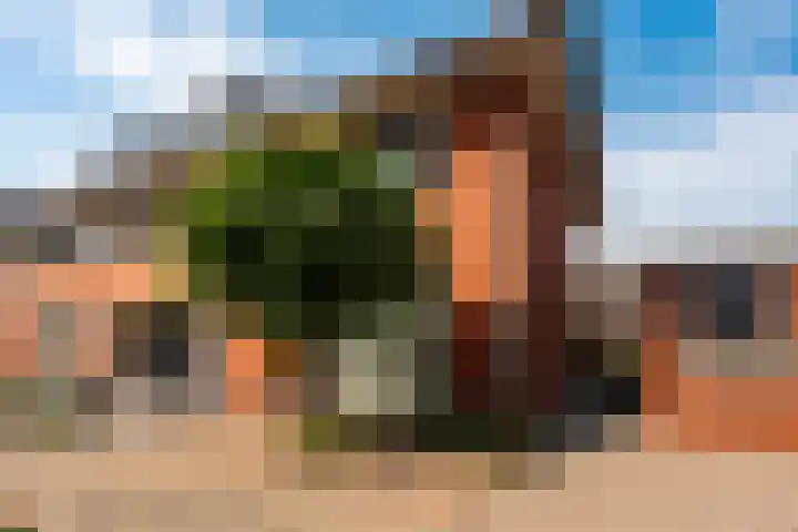 Herman de Manhove 56 Nieuwegein thumbnail 28