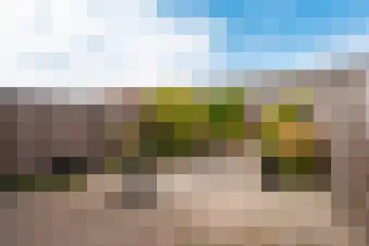 Herman de Manhove 56 Nieuwegein thumbnail 5