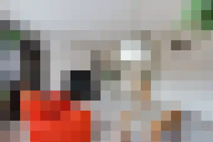 Herman de Manhove 56 Nieuwegein thumbnail 8