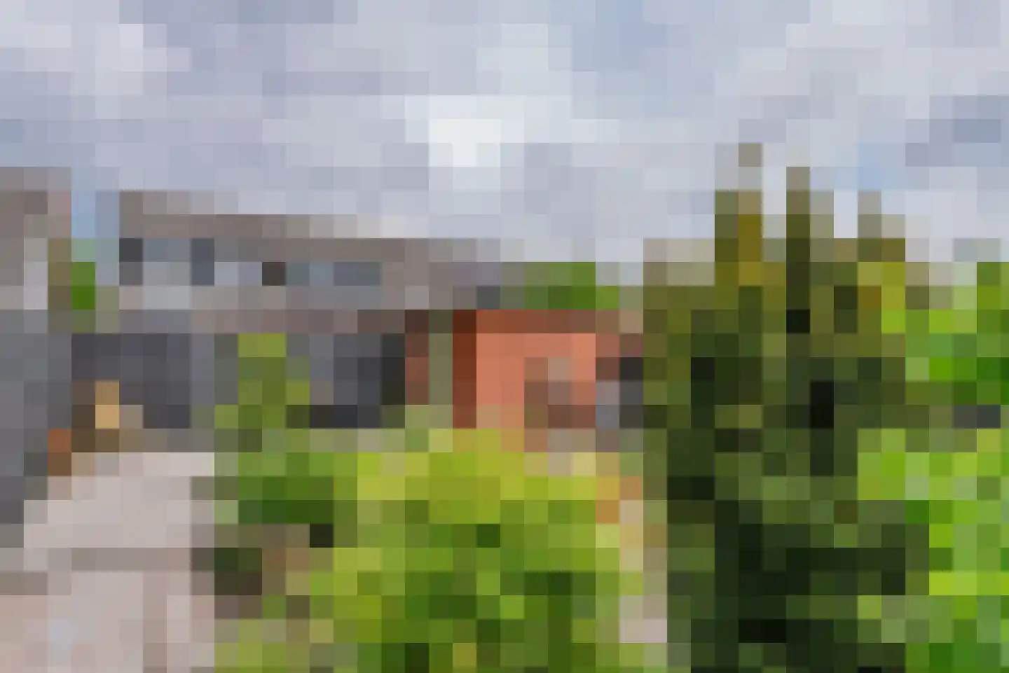 Herman de Manhove 70 Nieuwegein thumbnail 30