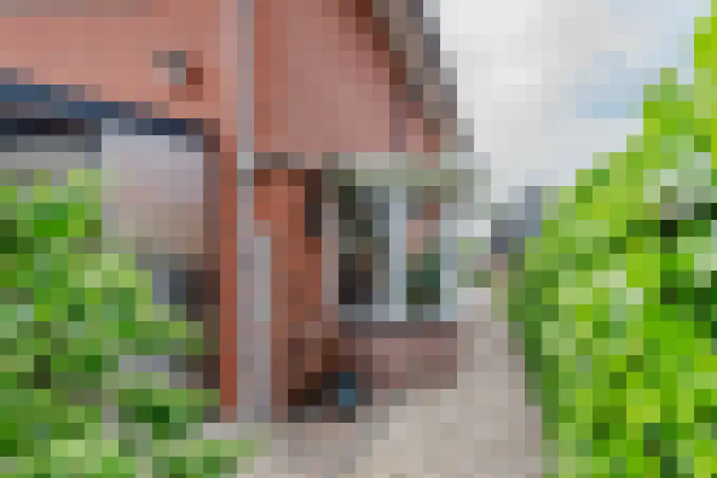 Herman de Manhove 70 Nieuwegein thumbnail 31