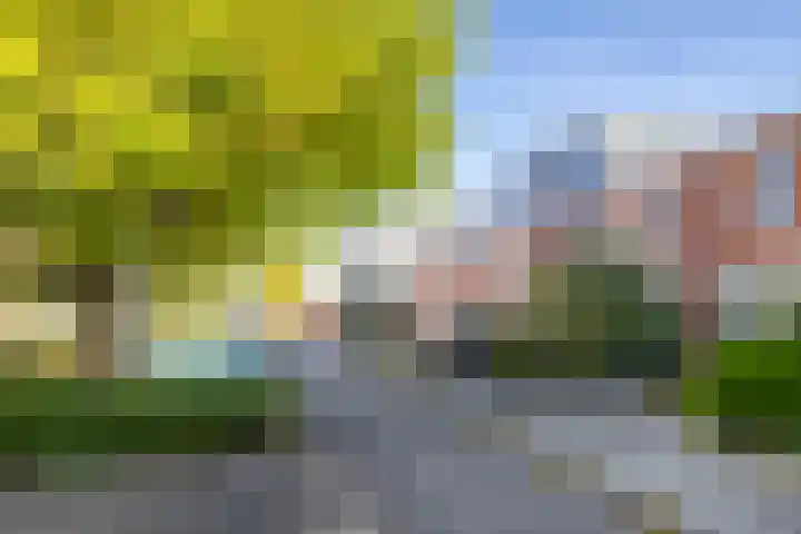 Herman de Manlaan 11 IJsselstein thumbnail 22
