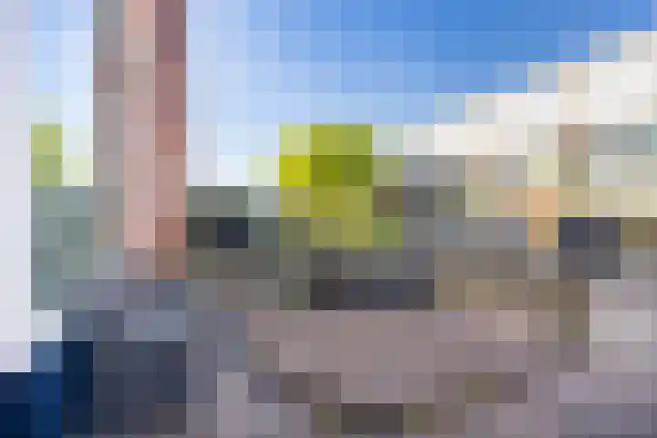 Herman de Manlaan 11 IJsselstein thumbnail 24