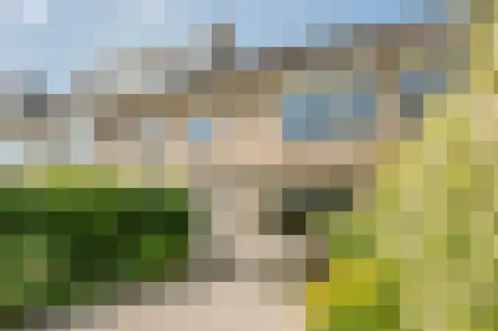 Herman de Manlaan 17 Uithoorn thumbnail 16