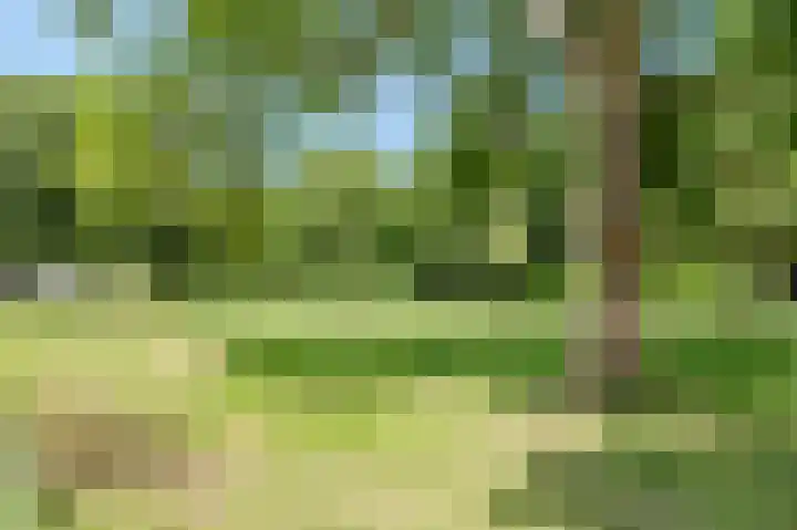 Herman de Manlaan 17 Uithoorn thumbnail 36