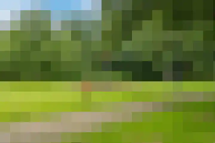 Herman de Manlaan 17 Uithoorn thumbnail 39