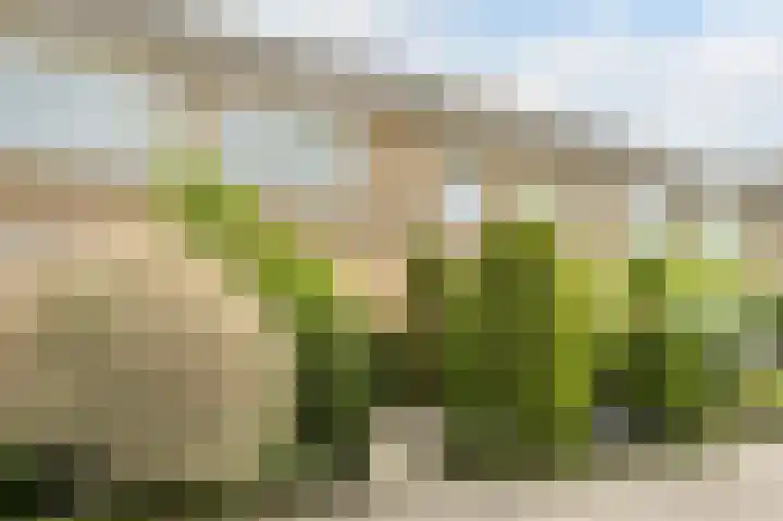 Herman de Manlaan 17 Uithoorn thumbnail 5
