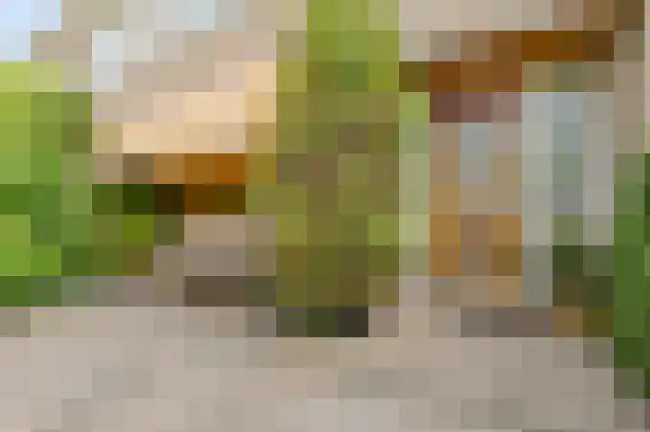 Herman de Manlaan 17 Uithoorn thumbnail 6