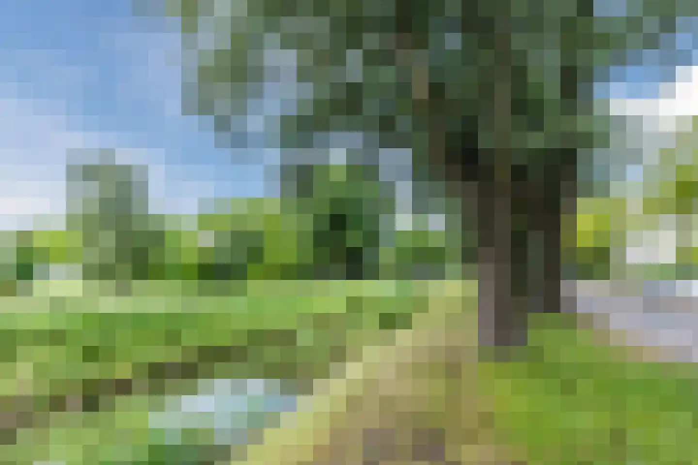 Herman de Manlaan 23 Amstelveen thumbnail 35